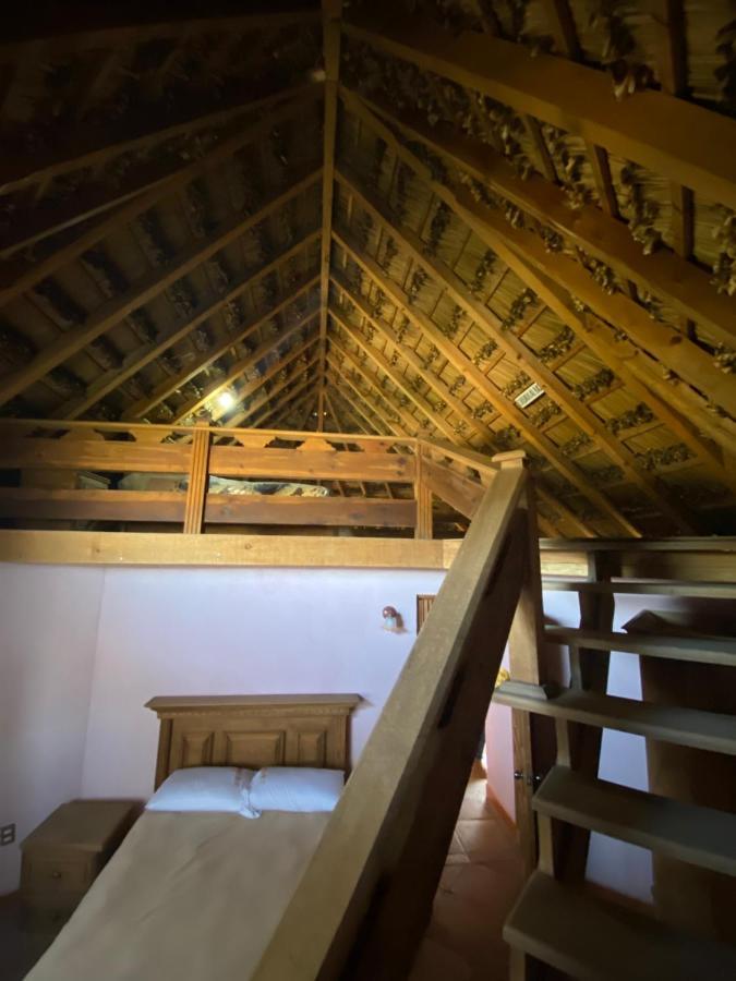 Cardonal Ecoturismo Cabanas La Florida المظهر الخارجي الصورة